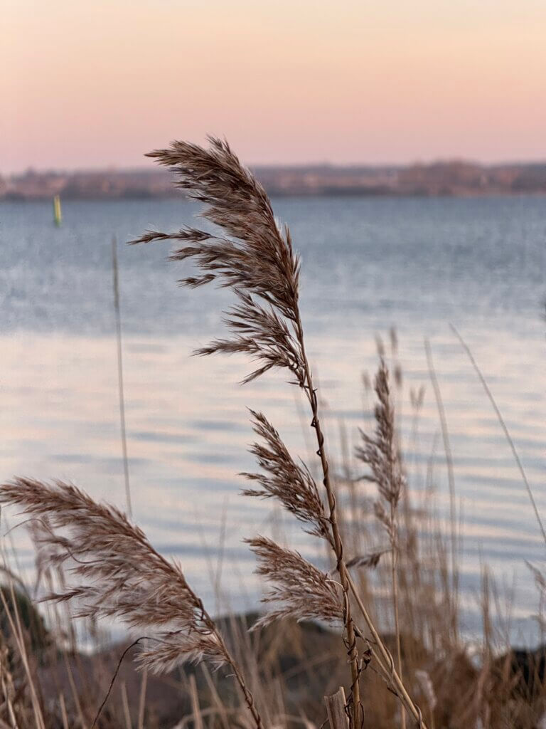 Winterurlaub in Dänemark