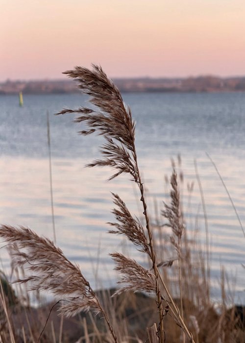 Winterurlaub in Dänemark